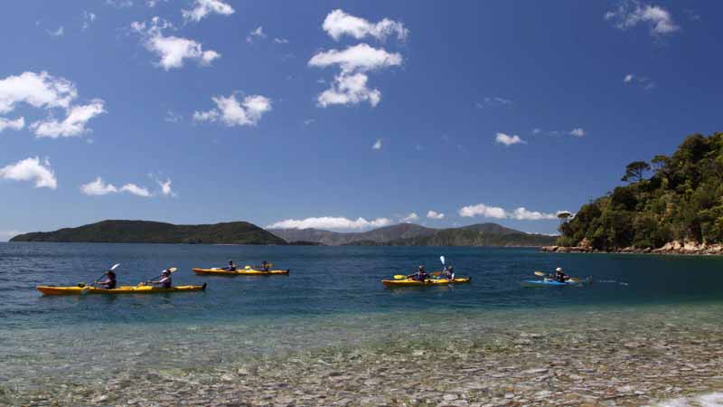 Great snorkelling 